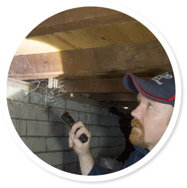 Building And Pest Inspections