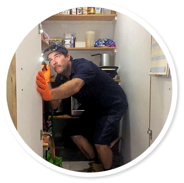 Pest exterminator Darwin